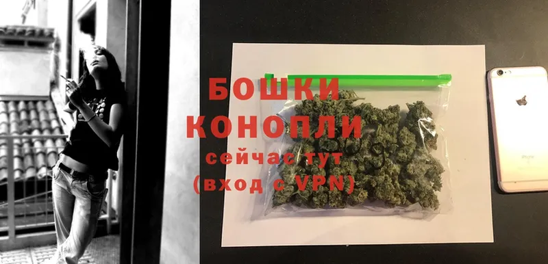 как найти   Серафимович  Шишки марихуана OG Kush 